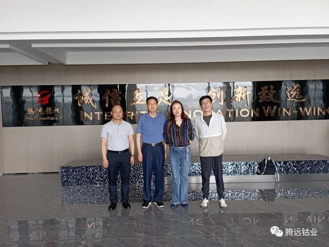 熱烈歡迎贛州市企業(yè)聯(lián)合會(huì)一行領(lǐng)導(dǎo)蒞臨騰遠(yuǎn)鈷業(yè)調(diào)研